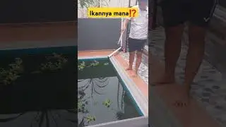 ikannya dipancing⁉️#shorts #shortvideo #viral #lucu