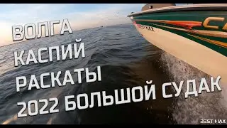 Астрахань 2022. Судак  атакует.