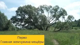 Касимов/Шостье/Перво | ДЕТИНОВ