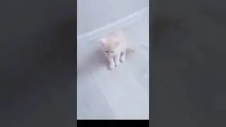 Мило (нет), 😢😥😭😩😫😞🤕