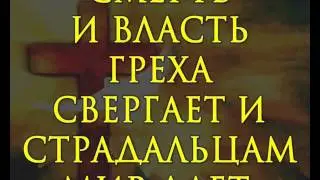 В вышине под небесами