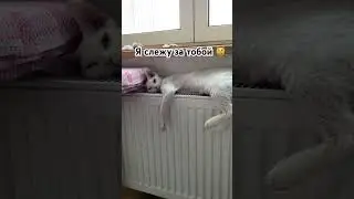 Когда не ты толстый, а батарея маленькая просто 