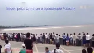 КРУТАЯ ВОЛНА СМЫЛА КИТАЙЦЕВ НА ПОБЕРЕЖЬЕ РЕКИ ЦЯНЬТАН!