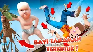BAYI DAJAL ODO DIKUTUK JADI BAYI TANAMAN ANGKER !!! BAPAK STRESMEN JADI GILA !!!