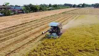 advanced combine for harvesting rice plants