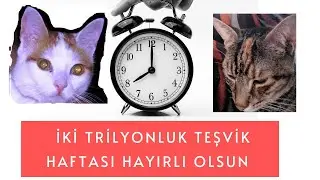 Teşvikte çıktı gibi ..  şimdi ne bekleyeceğiz ?