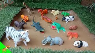 "Wild Animal Rescue: Muddy Friends Cleaned Up!"