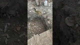 Моих детей назвали гастарбайтеры Я мать одиночка и мои дети мне помогают