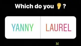 Yanny laurel  10 hours