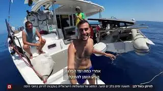 אוהד הנווד | חיפשתי לוויתנים מול חופי ישראל
