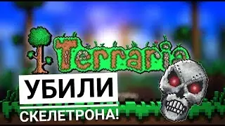Terraria №2. Скелетрон и его данж