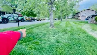 Mowed The Wrong Yard She Was Not Happy