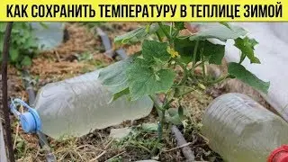 Как ЛЕГКО и ПРОСТО сохранить температуру зимой в неотапливаемой ТЕПЛИЦЕ Дачные Советы