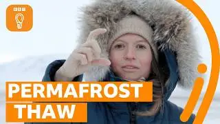 What happens when the permafrost thaws? | BBC Ideas