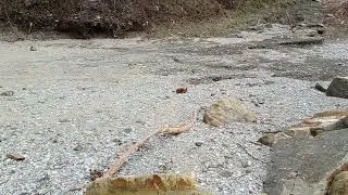 Последствия 