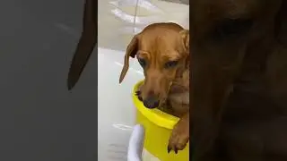 Делали как Фитакса?
