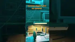 О Чем был Stray