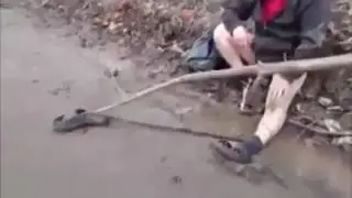 Заминировали суки