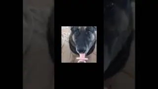 #популярное