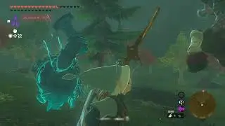 Zelda: Tears of the Kingdom норд аккальское поле-левр.