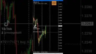 free Signal 27/3/2023