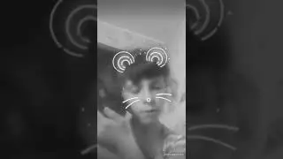 Я ушла из Лайка... Последние видео в Лайке