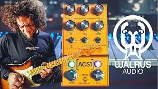 Three Amps, Six Cabs, Pedal Platform & Lush Tones! | Walrus Audio ACS1