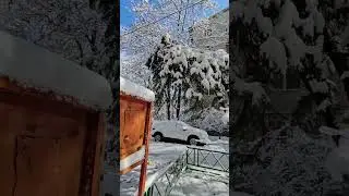 Осадков выпала телега
