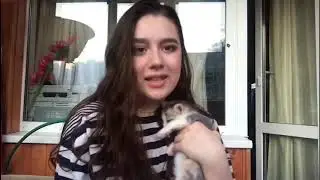 ПРОВЕРЬ СВОИ ЗНАНИЯ ПО ЭКОЛОГИИ | ЭКОЛОГИЧЕСКИЙ ДИКТАНТ | НАСТЯ НОВОЖИЛОВА