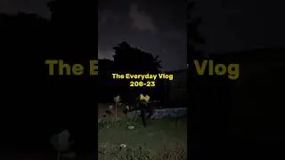 The Everyday Vlog - 208