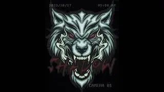 🐺 SHADOW WOLVES 🐺