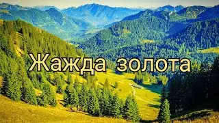 Жажда золота