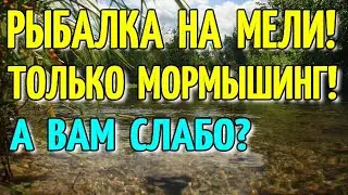 РЫБАЛКА НА МЕЛИ!!! СПАСЕТ ТОЛЬКО МОРМЫШИНГ! КАК ЛОВИТЬ МОРМЫШИНГОМ НА МЕЛИ?