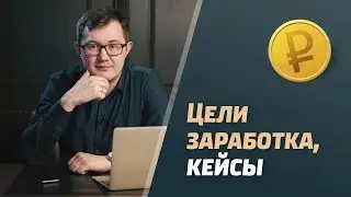 Методика в госзакупках / кейсы / цели заработка в торгах