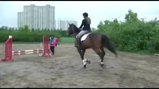 Ира и Вахтан 60 см