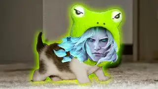 Rank 1 Viego kitten..