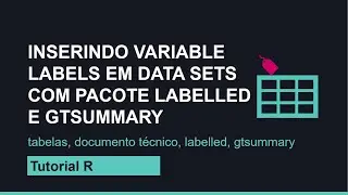 Inserindo rótulos em variáveis na construção de tabelas em documento técnico com labelled package