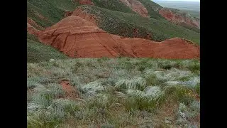 Богдинско - Баскунчакский заповедник