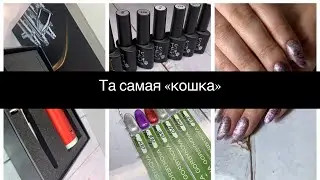 Та самая «кошка»