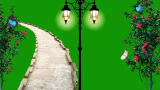 Green Screen Beautiful Garden Flower /Green Screen Butterfly/Green Screen Effects /Nature Background