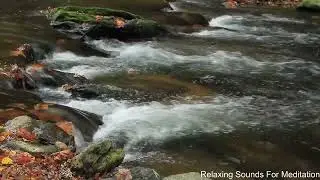 Relaxing Water Stream Sounds for Deep Sleep and Meditation | Calming Nature Ambience