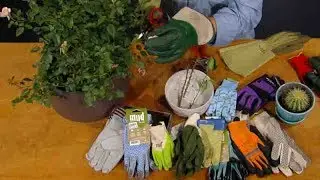 Get a Grip on Garden Gloves |John Dromgoole |Central Texas Gardener