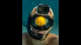 Diver Puts Egg in Bubble Ring 