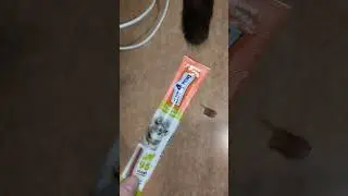 Распаковка с котанами 😻 мясные палочки
