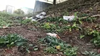 Глухой, Слепой и долбоёб
