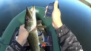 Супер рыбалка на спиннинг. Архив октябрь 2021.