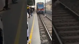 гусь🤣