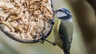 Look at those tits!
