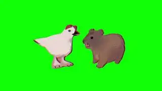 Hyrax and Chicken Talking Meme | Green Screen