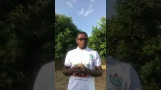 Dagbani community reaching new Wikipedia editors on prime-time television